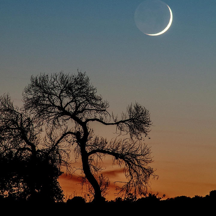 New Moon November 2019 