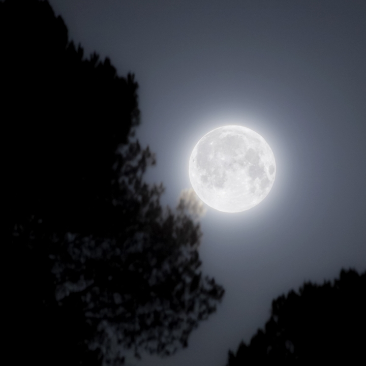 Full Moon May Circle The Happiness Retreat